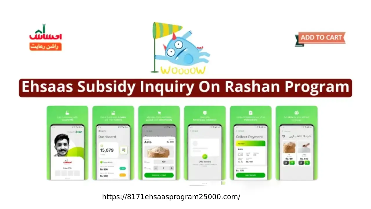 Ehsaas Subsidy Inquiry